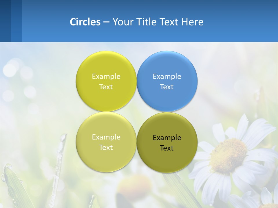 A Powerpoint Presentation With Daisies In The Grass PowerPoint Template
