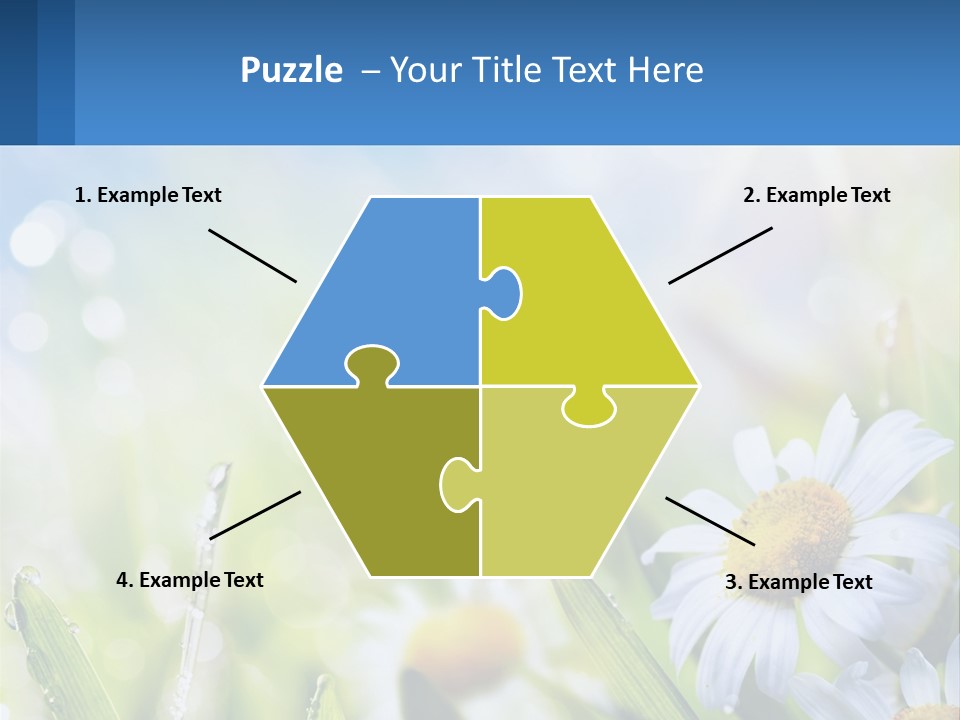 A Powerpoint Presentation With Daisies In The Grass PowerPoint Template