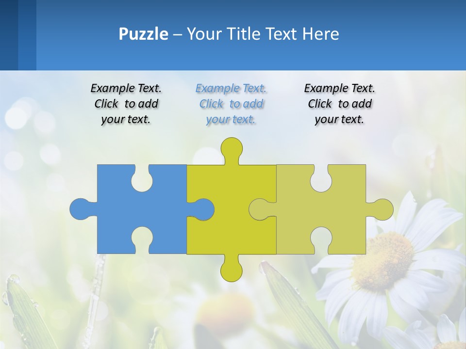A Powerpoint Presentation With Daisies In The Grass PowerPoint Template
