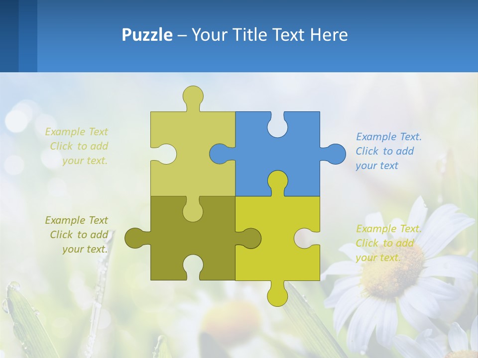A Powerpoint Presentation With Daisies In The Grass PowerPoint Template
