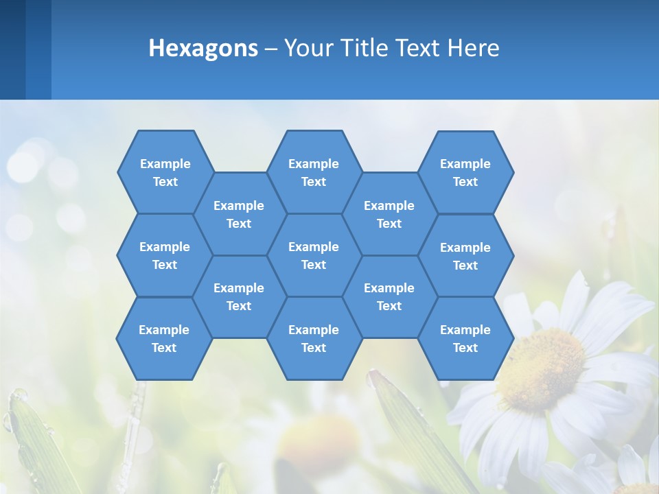 A Powerpoint Presentation With Daisies In The Grass PowerPoint Template