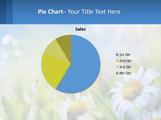 A Powerpoint Presentation With Daisies In The Grass PowerPoint Template