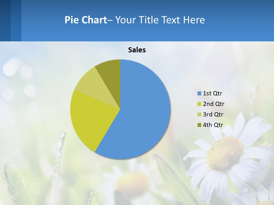 A Powerpoint Presentation With Daisies In The Grass PowerPoint Template