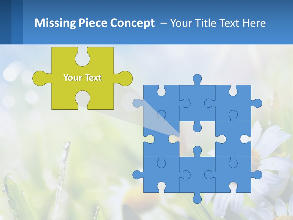 A Powerpoint Presentation With Daisies In The Grass PowerPoint Template