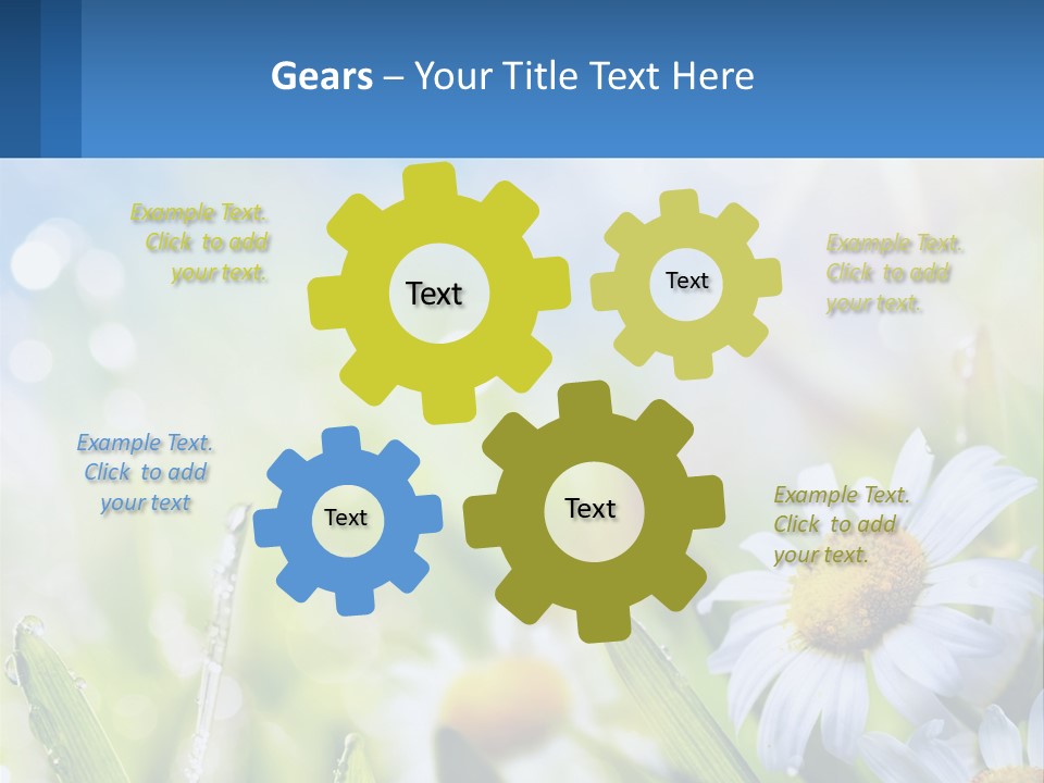 A Powerpoint Presentation With Daisies In The Grass PowerPoint Template