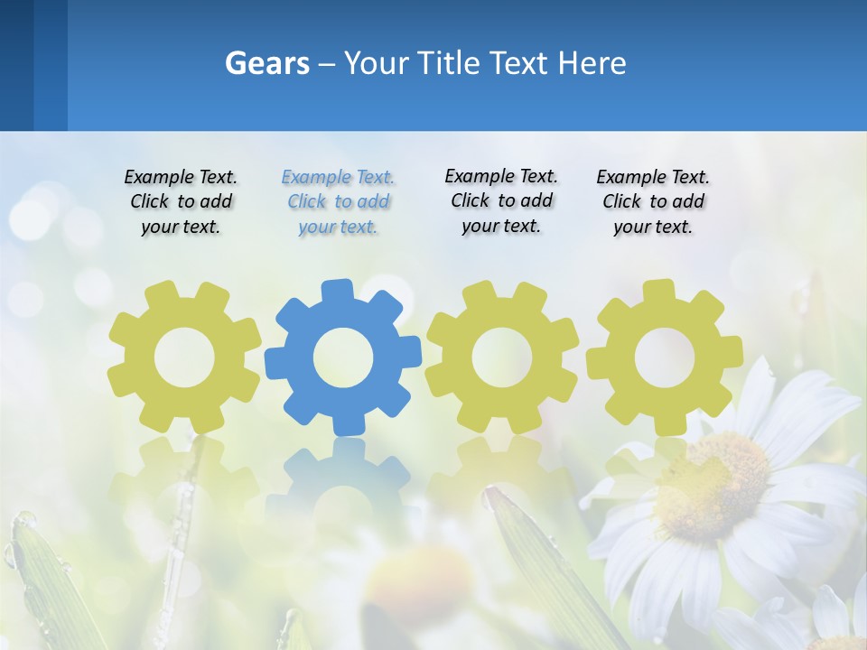 A Powerpoint Presentation With Daisies In The Grass PowerPoint Template