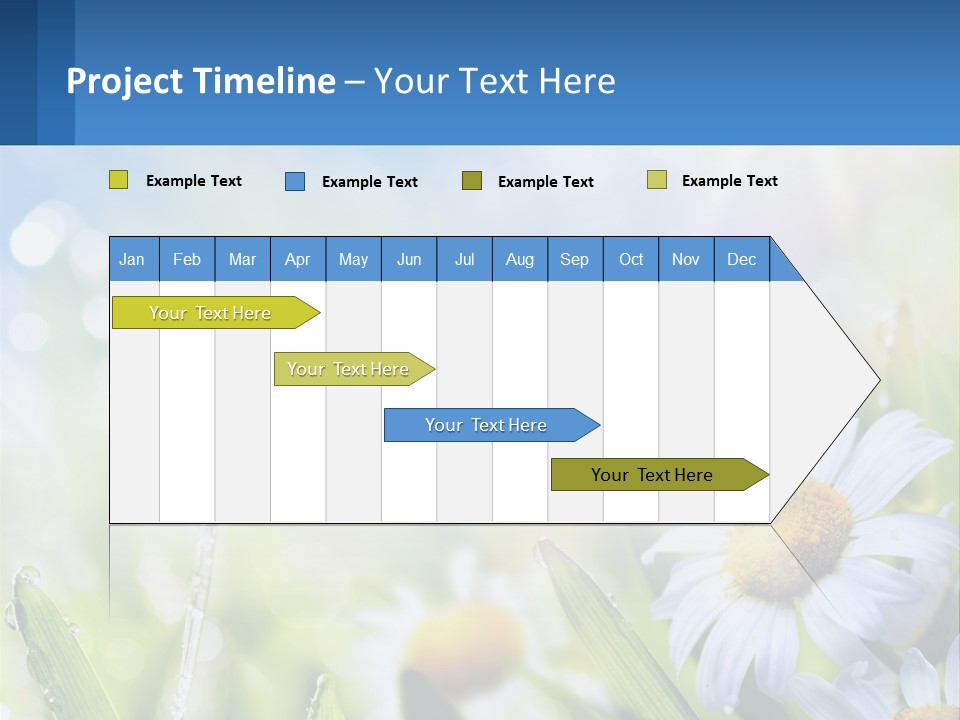 A Powerpoint Presentation With Daisies In The Grass PowerPoint Template