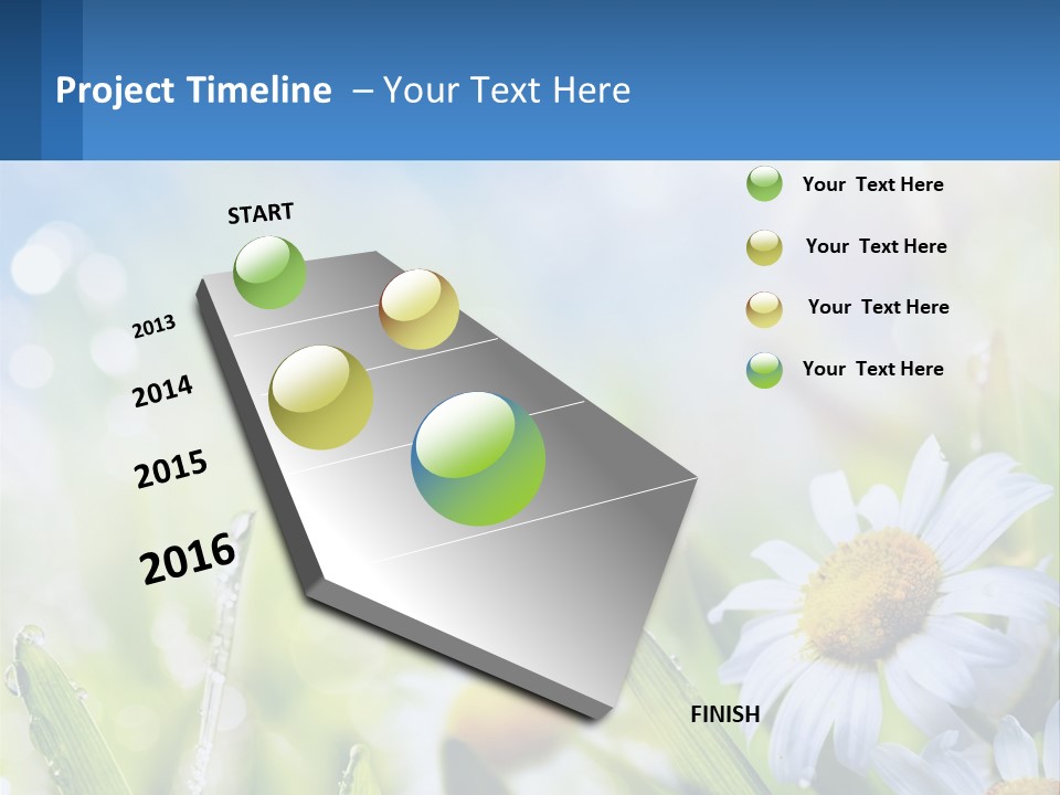 A Powerpoint Presentation With Daisies In The Grass PowerPoint Template