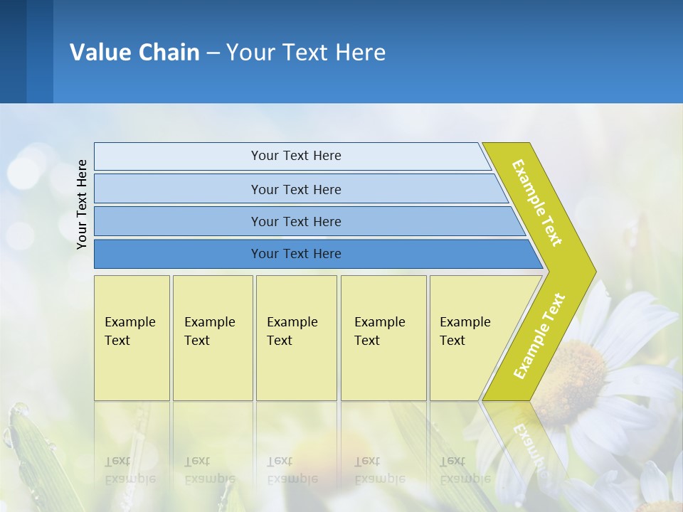 A Powerpoint Presentation With Daisies In The Grass PowerPoint Template