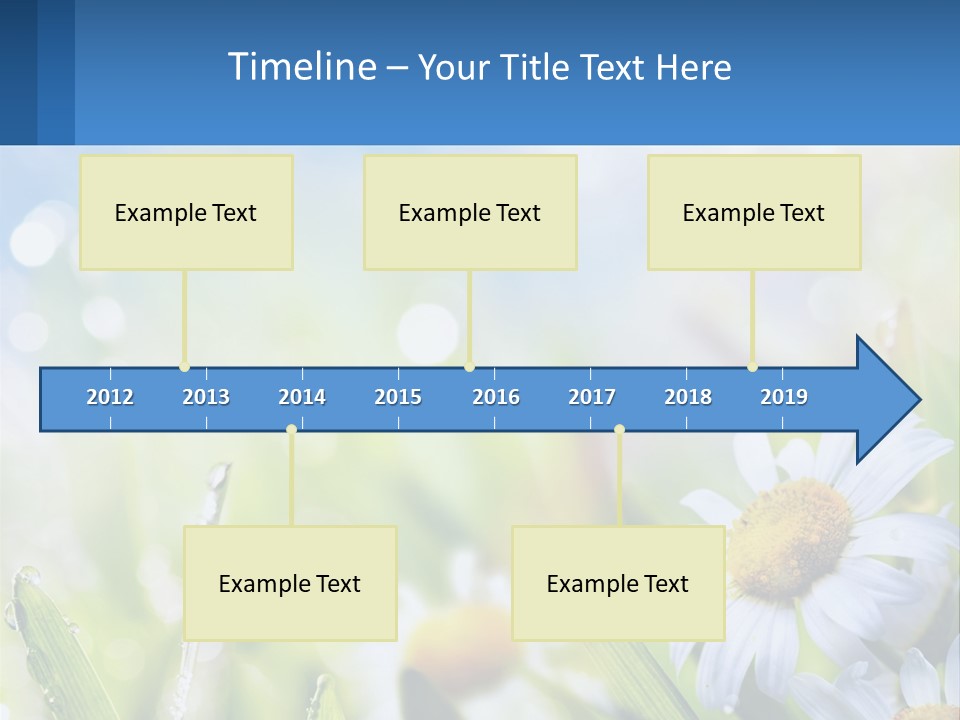 A Powerpoint Presentation With Daisies In The Grass PowerPoint Template