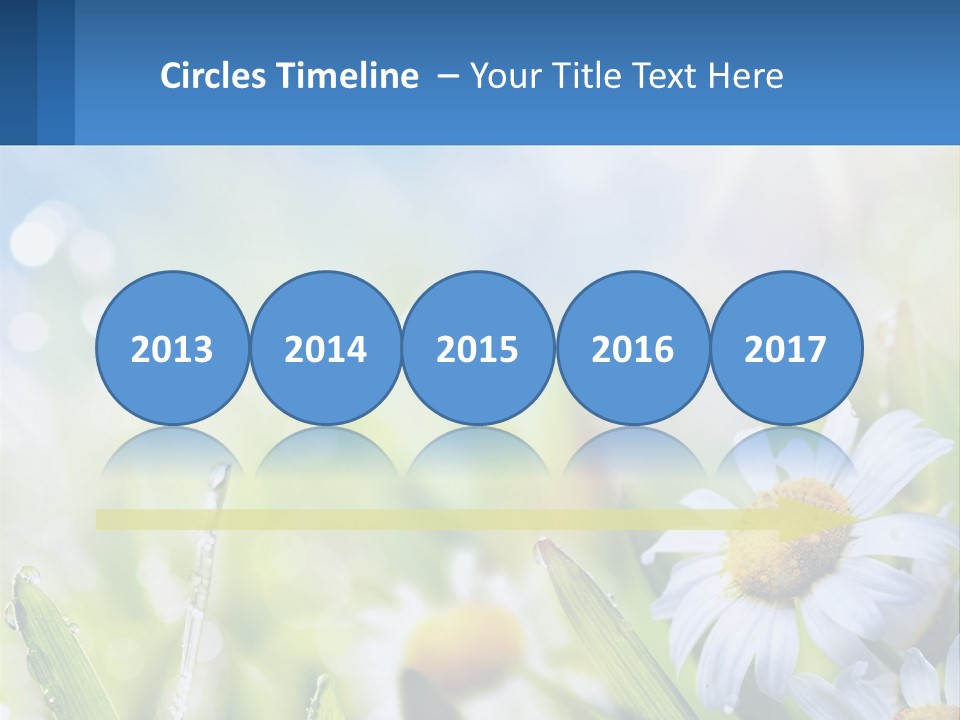 A Powerpoint Presentation With Daisies In The Grass PowerPoint Template