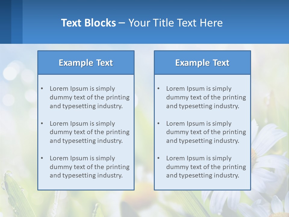 A Powerpoint Presentation With Daisies In The Grass PowerPoint Template