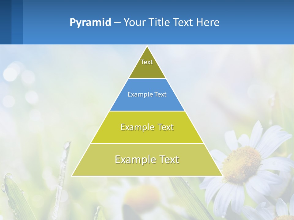 A Powerpoint Presentation With Daisies In The Grass PowerPoint Template