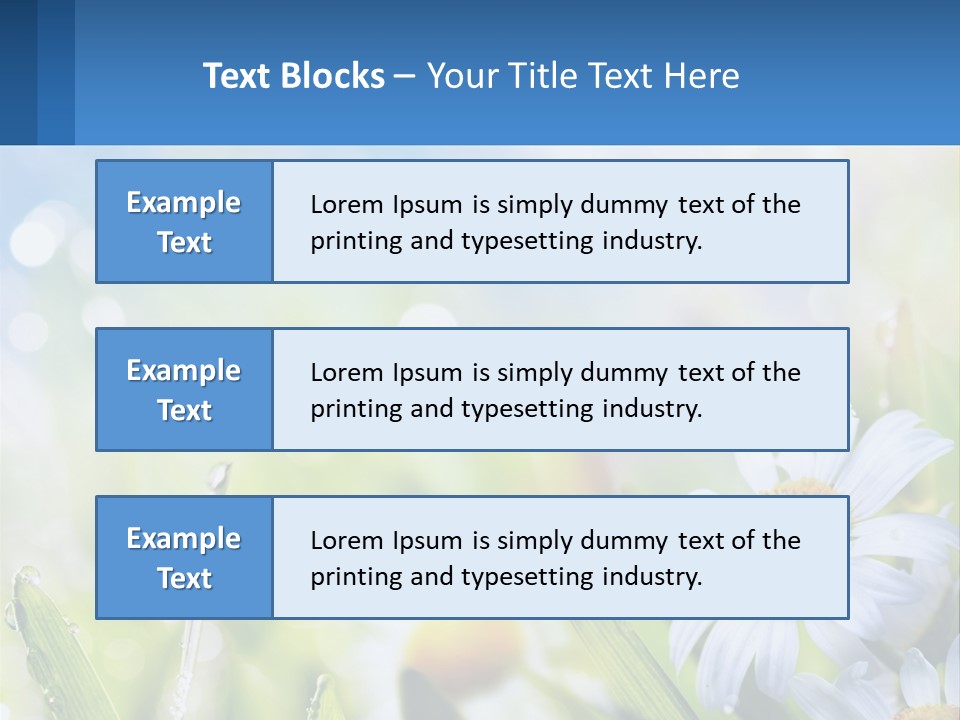 A Powerpoint Presentation With Daisies In The Grass PowerPoint Template