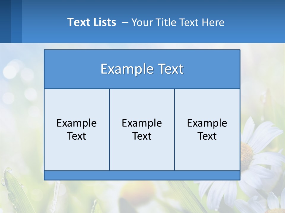 A Powerpoint Presentation With Daisies In The Grass PowerPoint Template