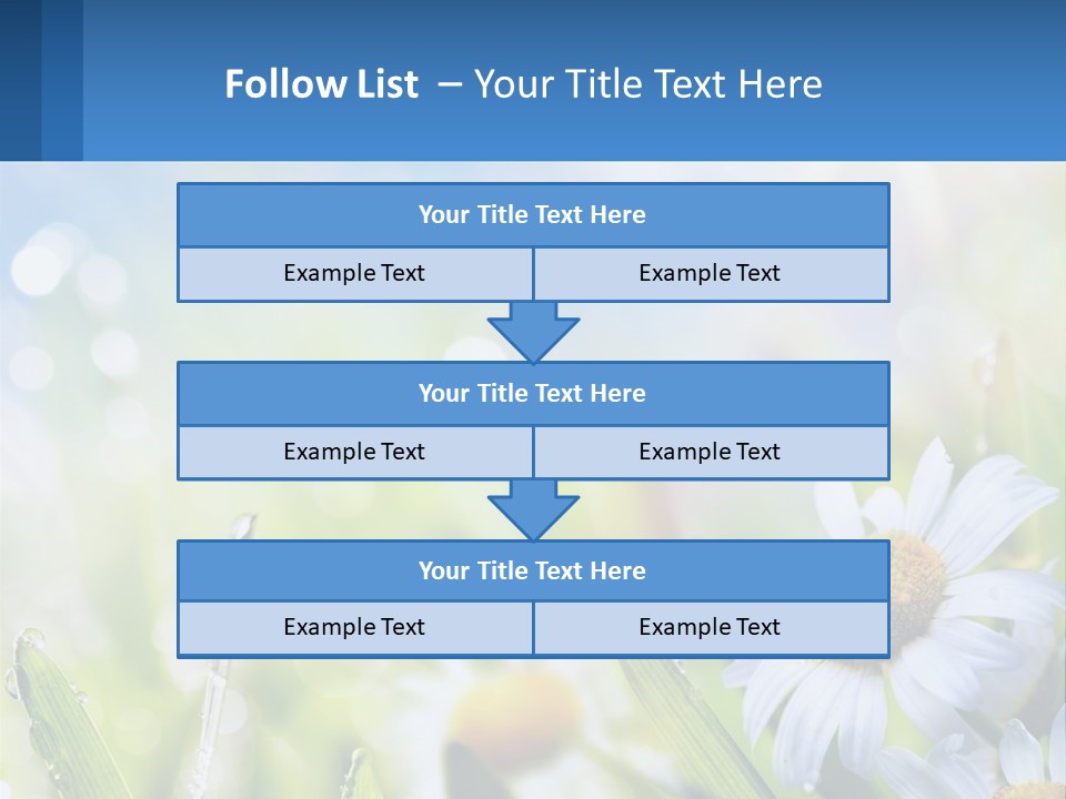 A Powerpoint Presentation With Daisies In The Grass PowerPoint Template