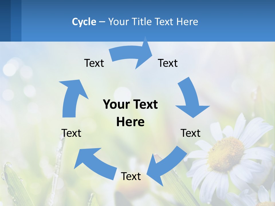 A Powerpoint Presentation With Daisies In The Grass PowerPoint Template