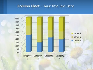 A Powerpoint Presentation With Daisies In The Grass PowerPoint Template