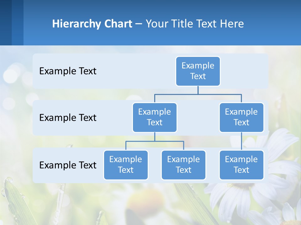 A Powerpoint Presentation With Daisies In The Grass PowerPoint Template