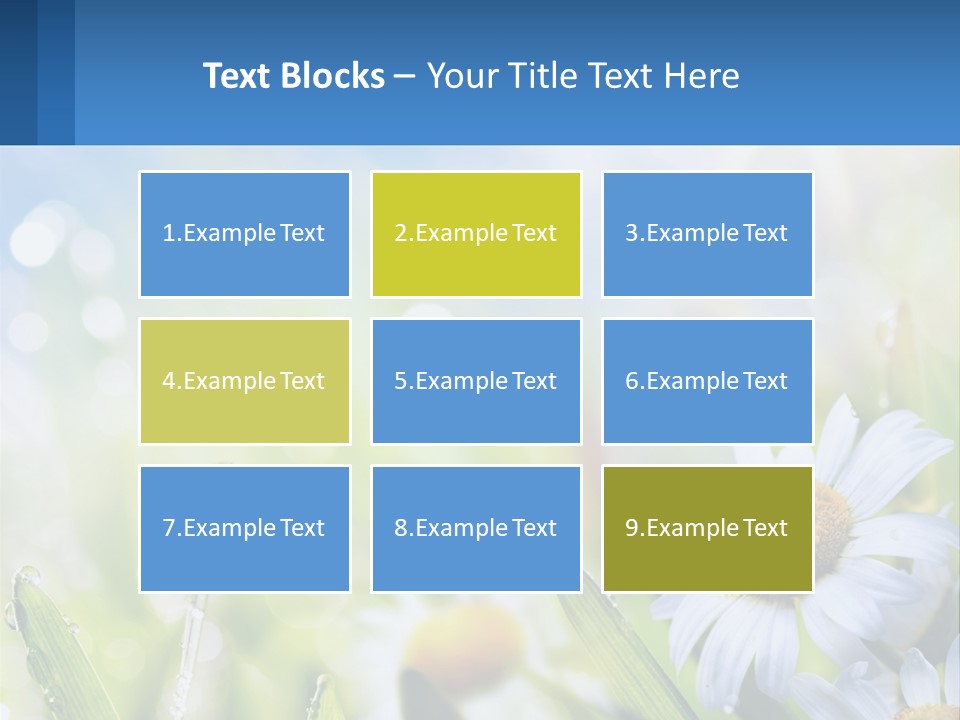 A Powerpoint Presentation With Daisies In The Grass PowerPoint Template