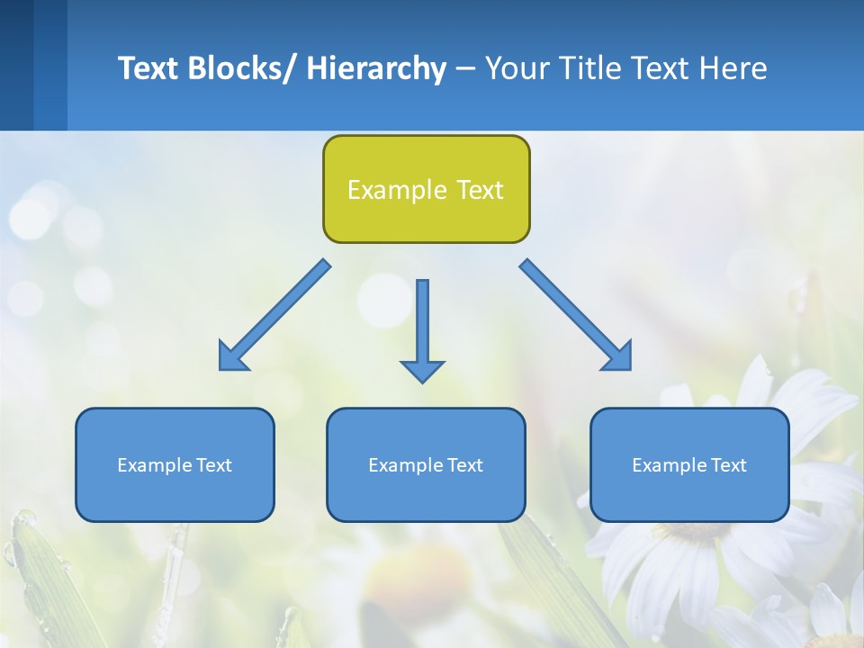 A Powerpoint Presentation With Daisies In The Grass PowerPoint Template