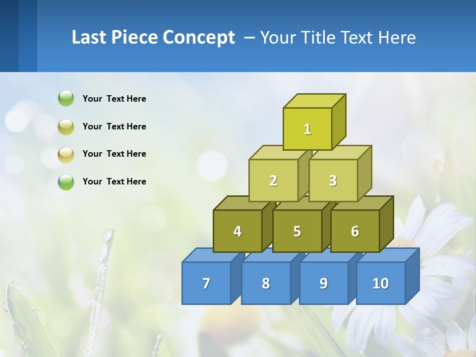 A Powerpoint Presentation With Daisies In The Grass PowerPoint Template