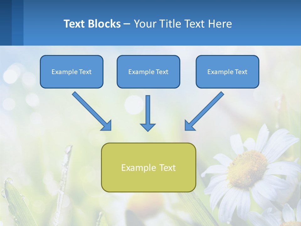 A Powerpoint Presentation With Daisies In The Grass PowerPoint Template