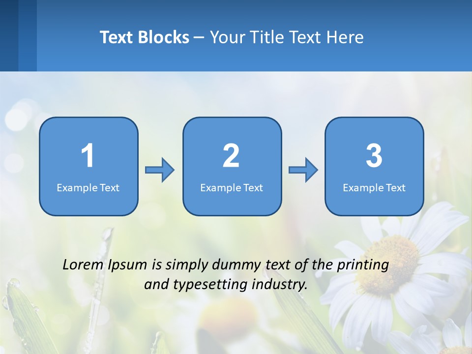 A Powerpoint Presentation With Daisies In The Grass PowerPoint Template