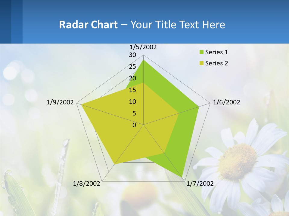 A Powerpoint Presentation With Daisies In The Grass PowerPoint Template