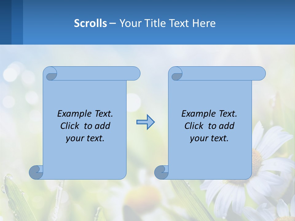 A Powerpoint Presentation With Daisies In The Grass PowerPoint Template