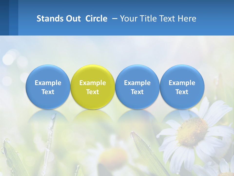 A Powerpoint Presentation With Daisies In The Grass PowerPoint Template
