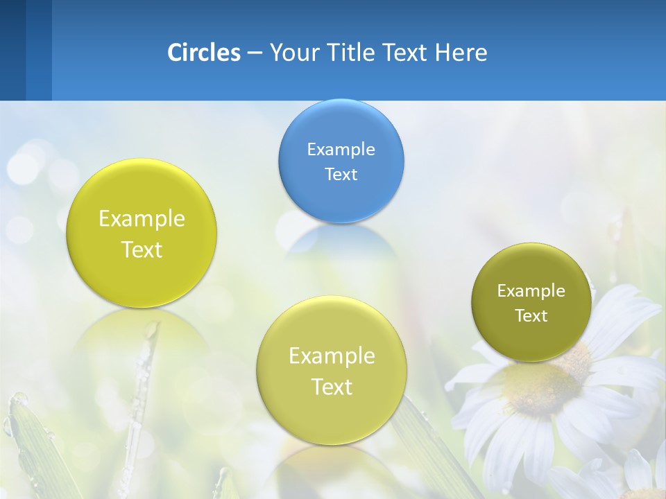 A Powerpoint Presentation With Daisies In The Grass PowerPoint Template