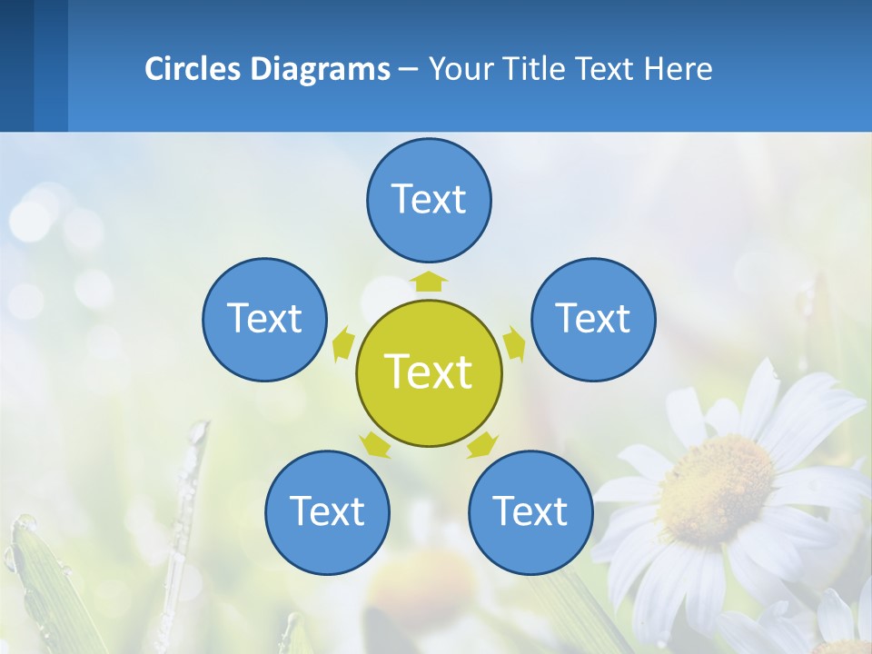 A Powerpoint Presentation With Daisies In The Grass PowerPoint Template