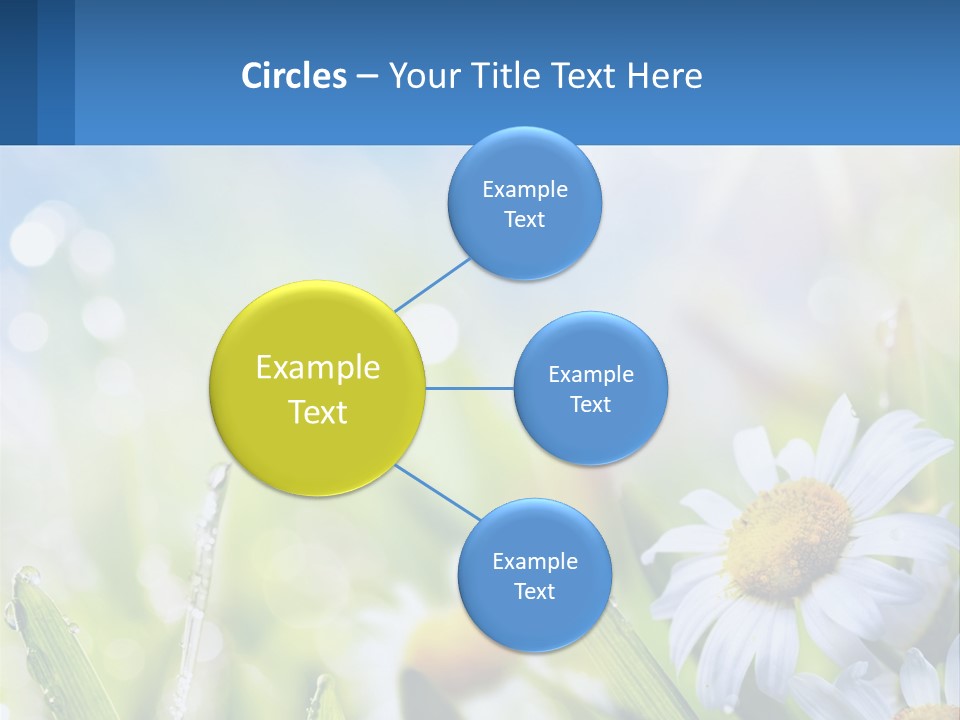 A Powerpoint Presentation With Daisies In The Grass PowerPoint Template