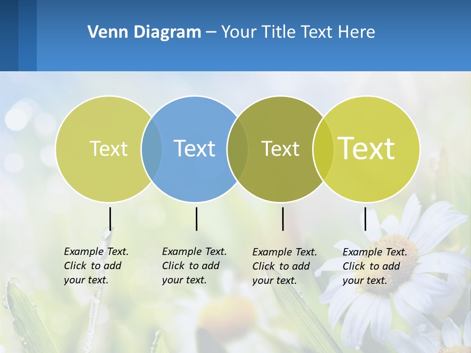 A Powerpoint Presentation With Daisies In The Grass PowerPoint Template