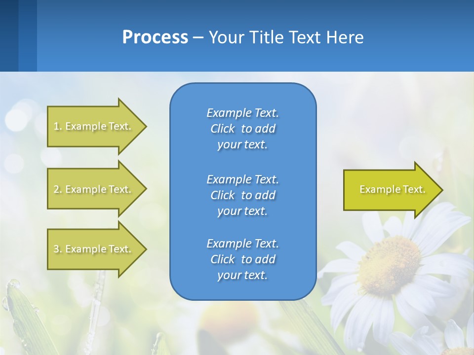 A Powerpoint Presentation With Daisies In The Grass PowerPoint Template