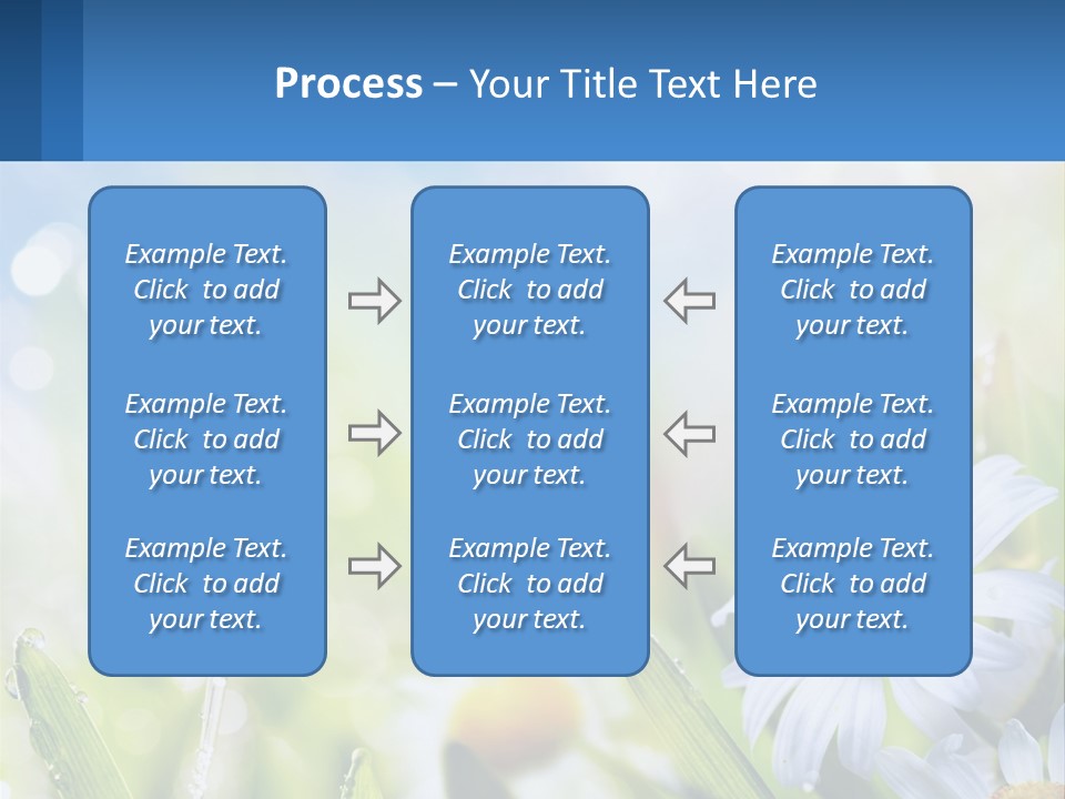 A Powerpoint Presentation With Daisies In The Grass PowerPoint Template