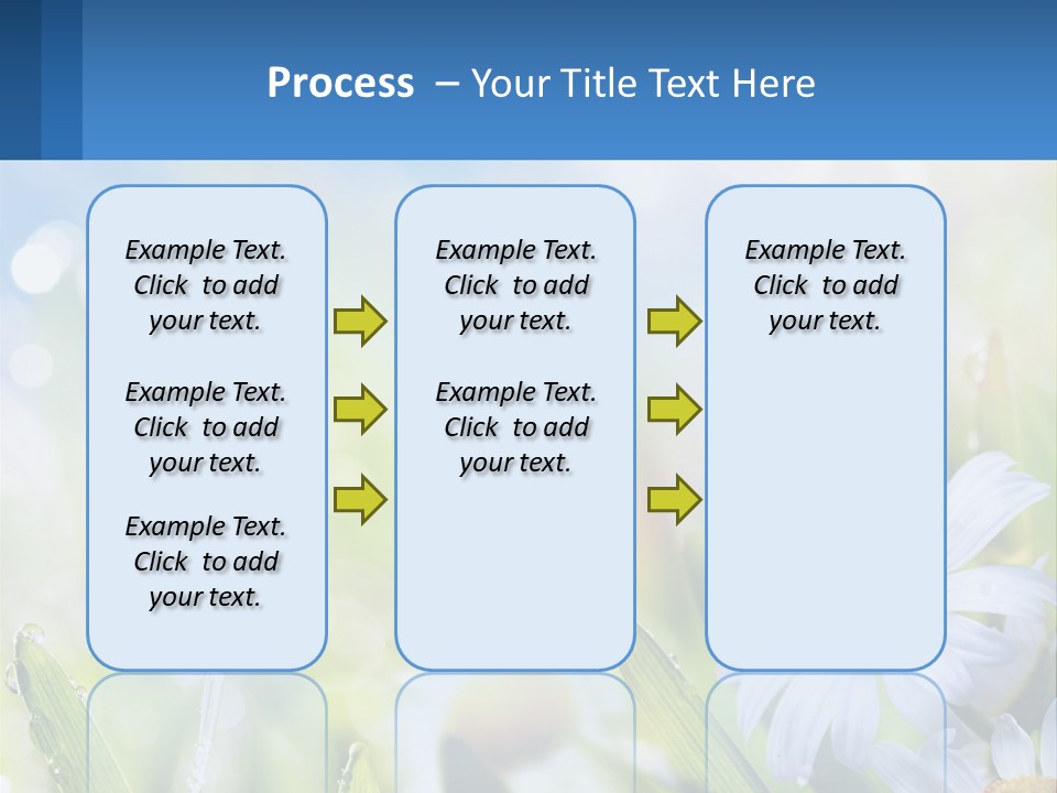 A Powerpoint Presentation With Daisies In The Grass PowerPoint Template