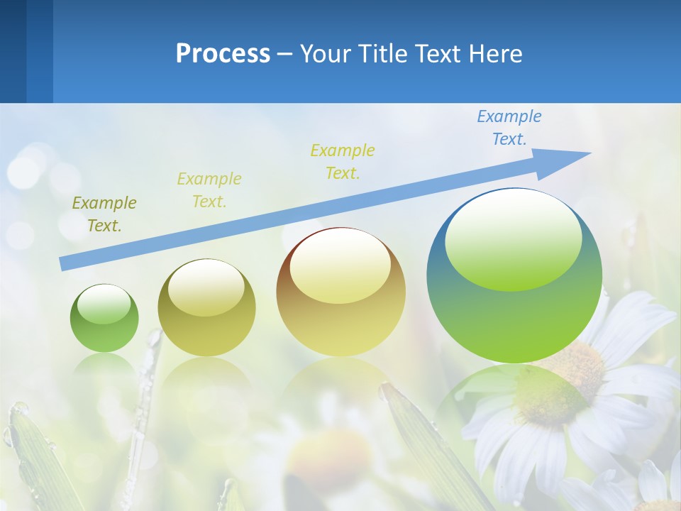 A Powerpoint Presentation With Daisies In The Grass PowerPoint Template