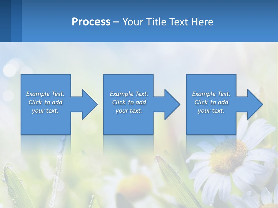 A Powerpoint Presentation With Daisies In The Grass PowerPoint Template