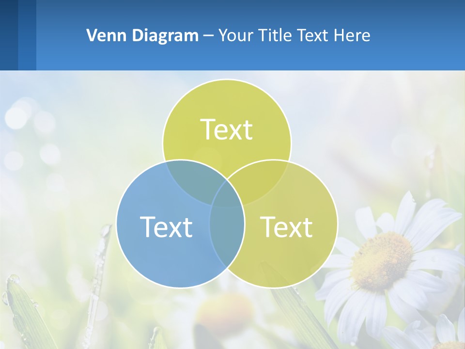 A Powerpoint Presentation With Daisies In The Grass PowerPoint Template