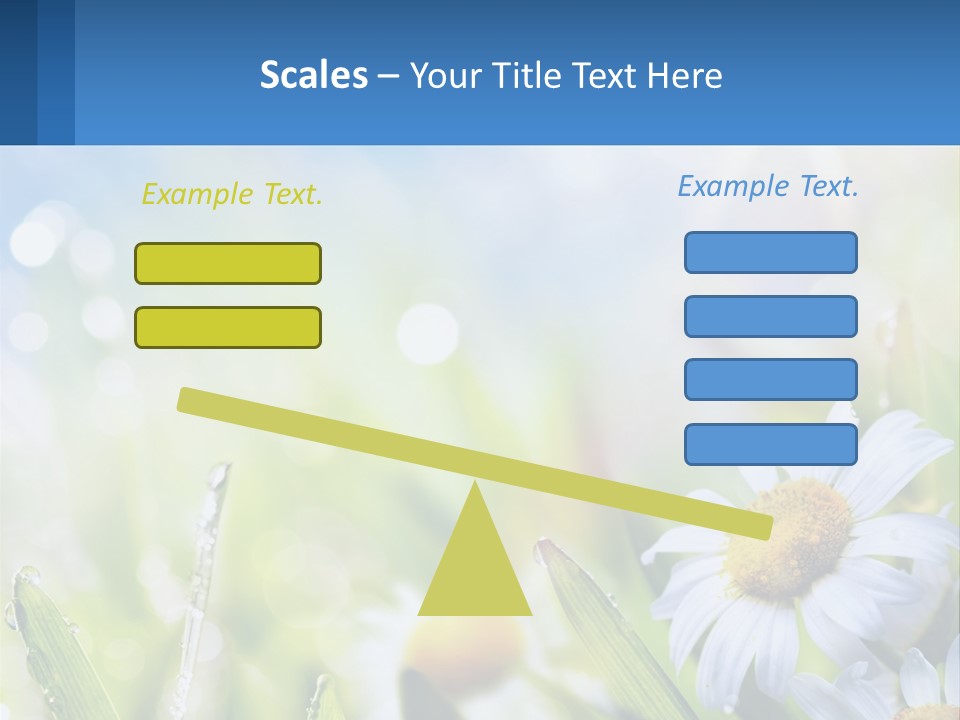 A Powerpoint Presentation With Daisies In The Grass PowerPoint Template