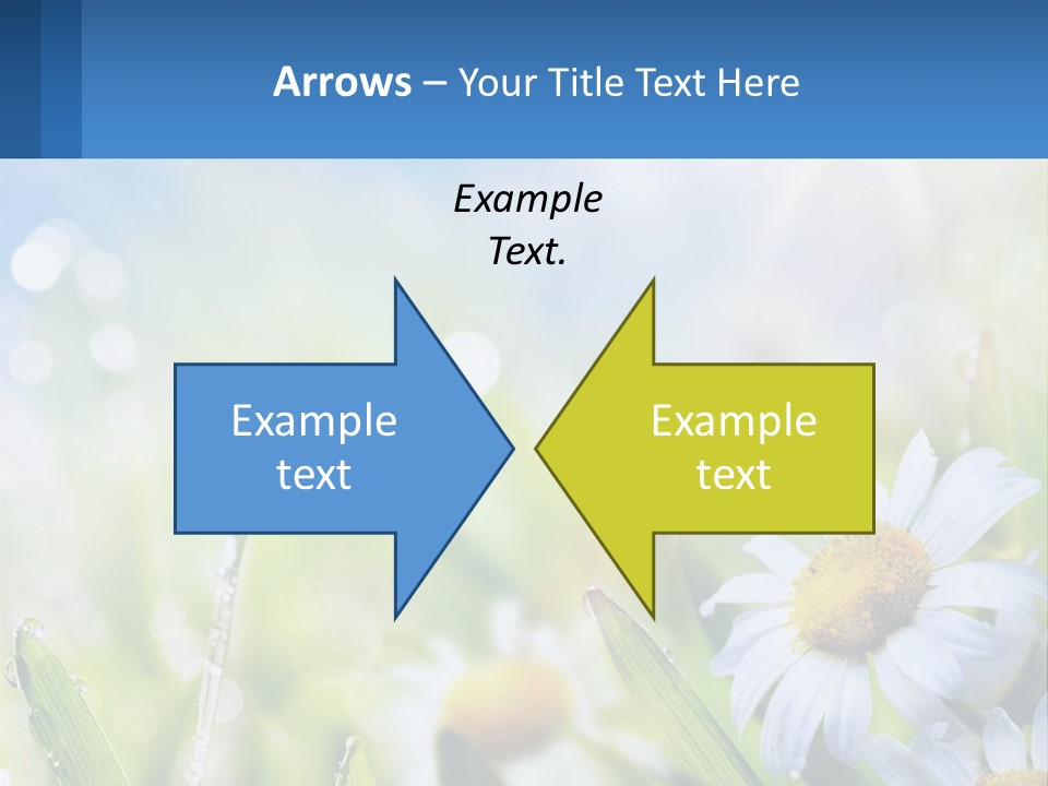 A Powerpoint Presentation With Daisies In The Grass PowerPoint Template