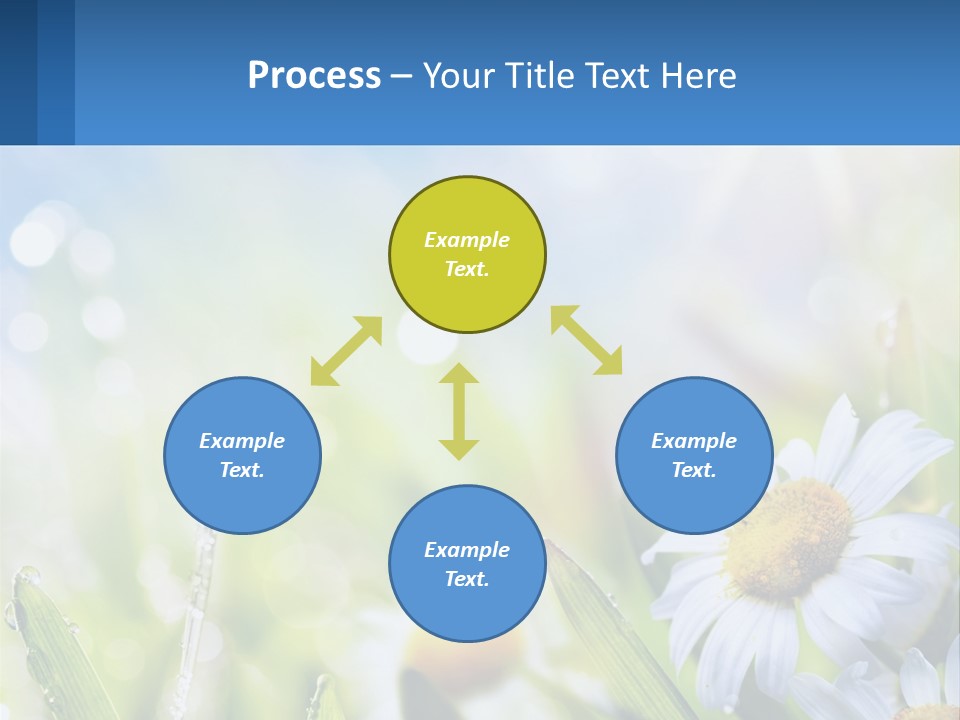 A Powerpoint Presentation With Daisies In The Grass PowerPoint Template