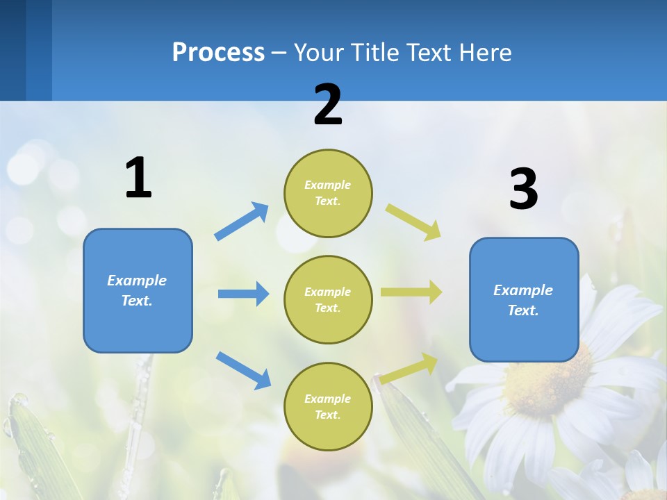 A Powerpoint Presentation With Daisies In The Grass PowerPoint Template