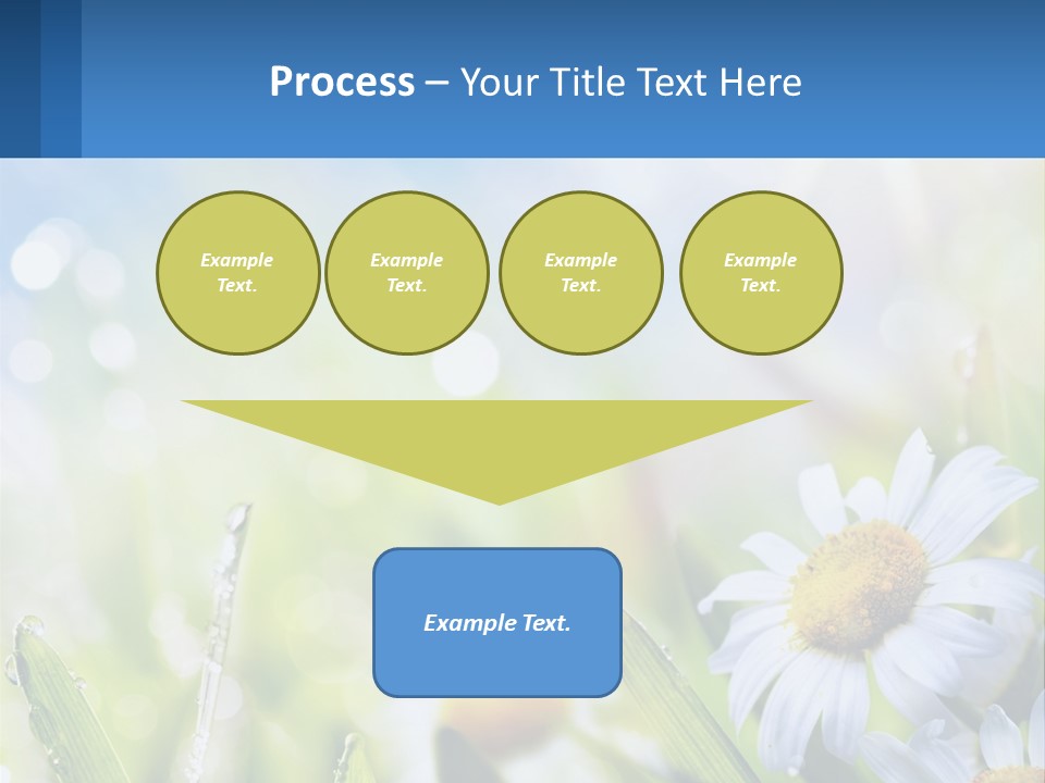 A Powerpoint Presentation With Daisies In The Grass PowerPoint Template