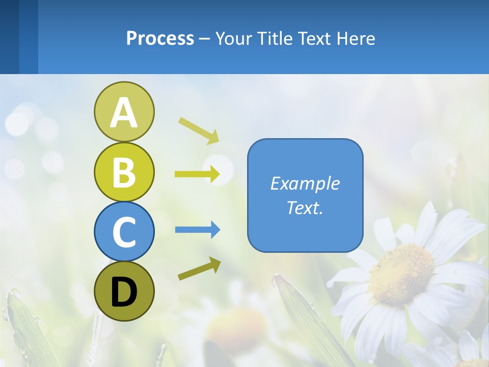 A Powerpoint Presentation With Daisies In The Grass PowerPoint Template