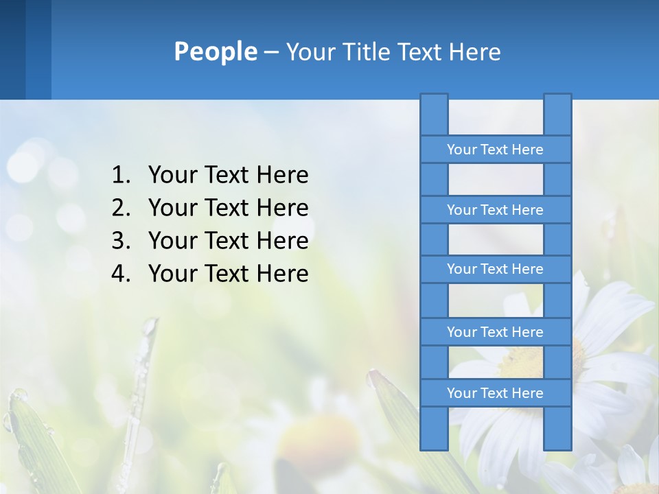 A Powerpoint Presentation With Daisies In The Grass PowerPoint Template