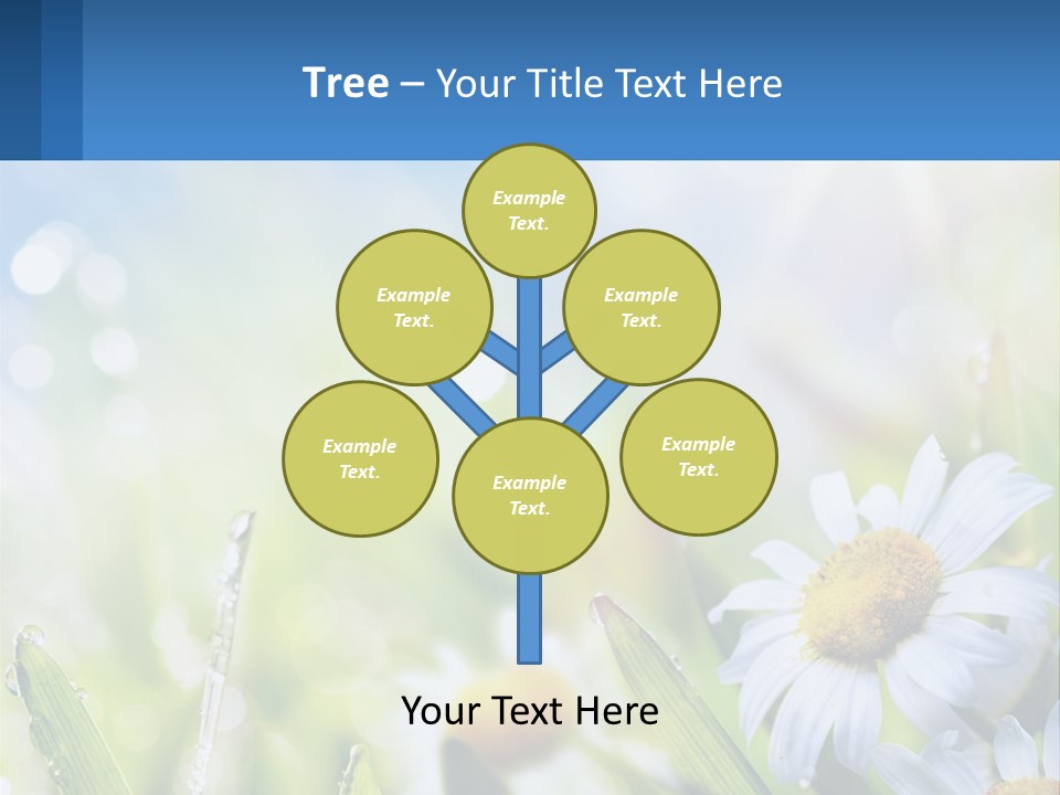 A Powerpoint Presentation With Daisies In The Grass PowerPoint Template
