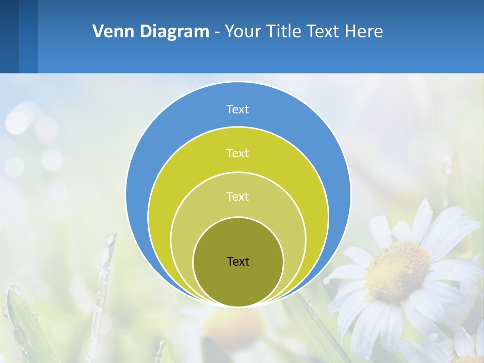 A Powerpoint Presentation With Daisies In The Grass PowerPoint Template